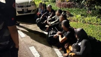 藏匿灌木丛 7非法移民被捕