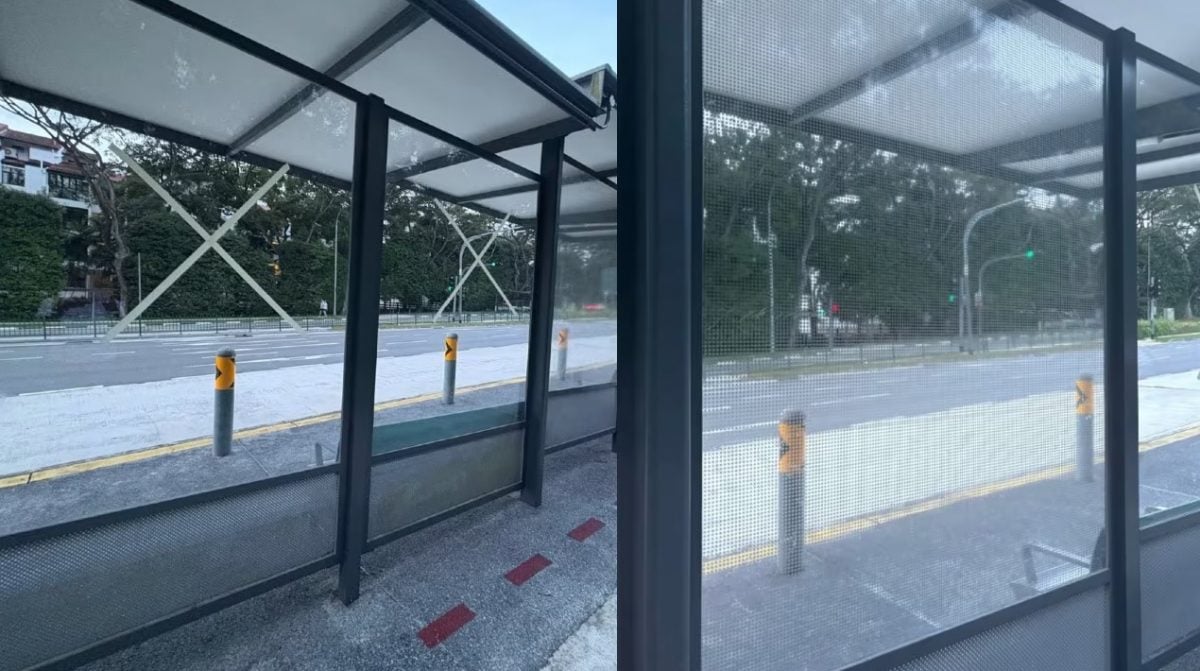 已签发 柔:狮城二三事:巴士站玻璃隔板变“夺命墙” 多鸟撞墙伤亡网民促关注