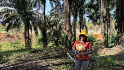 玛丽娜：柔河污染致制水  采砂执法不严是肇因