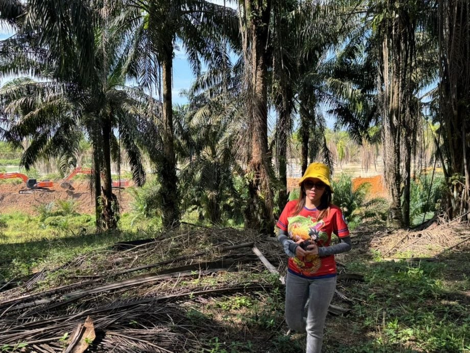 已签发 柔:玛丽娜:灾难根源不在采砂,而是执法不严