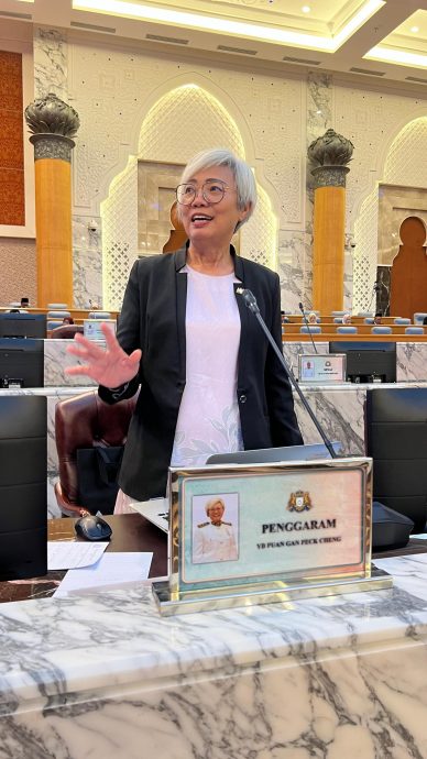 已签发 ：柔：州议会下半场文二：颜碧贞：NG999启用后，老人院拨打上百通话，救护车50分钟才到！