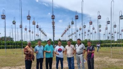 国际斑鸠与啼鸠鸣声艺术赛  250鸟展歌喉