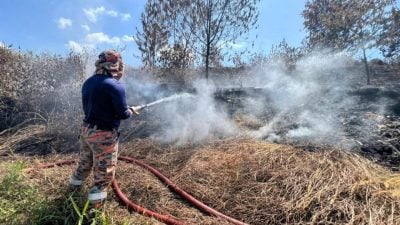 两日阵雨未扑灭火势   巴口垃圾山现4火点