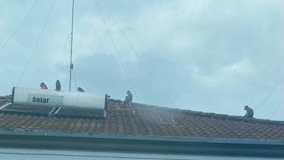 新邦令金成群野猴出没住宅区  跳屋顶爬神坛觅食扰民