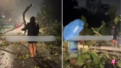 视频 | 大树倒挡两车道  好心骑士司机冒雨移断枝