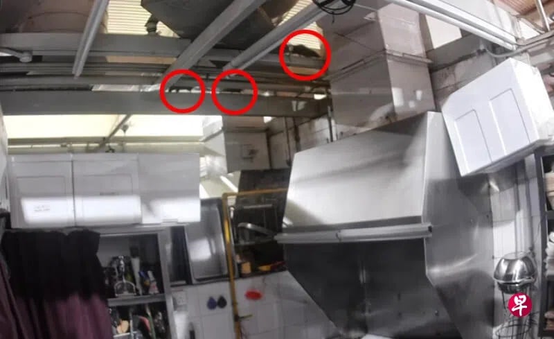 *已签发*柔：狮城二三事：狮城砖厂熟食中心闹鼠患  摊贩饱受困扰