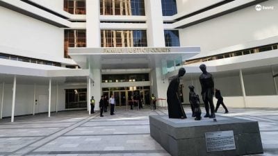 狮城离婚商人突中风无法自理  前妻和姐姐争当代理人闹上庭