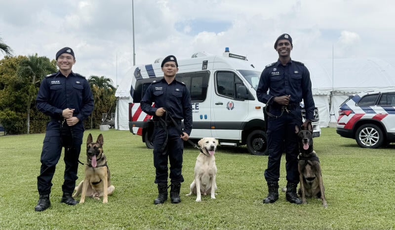 *已签发*柔:狮城二三事:直击警犬训练基地 缉毒犬一分钟搜出毒