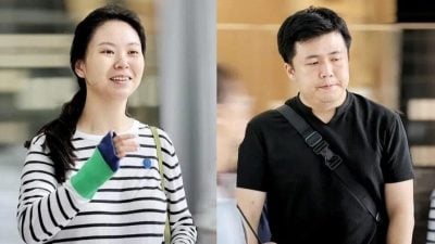 组屋非法繁殖出售宠物猫  博士生与夫监1周罚逾16万