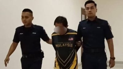 被控油棕园中猥亵8岁男童  前餐馆助手否认有罪