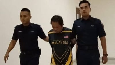 被控油棕园中猥亵8岁男童  前餐馆助手否认有罪