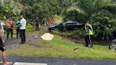 闪避动物致失控  汽车司机撞死割草工人