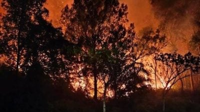 雪邦沙叻丁宜林火   61消拯员奋战13小时灭火