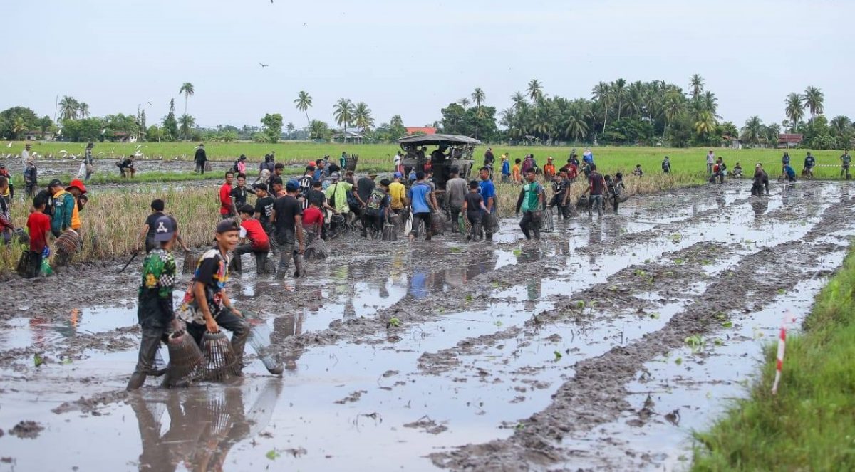 已签发（大北马） 甘榜抓鱼赛事好热闹  槟吉玻逾500人参与