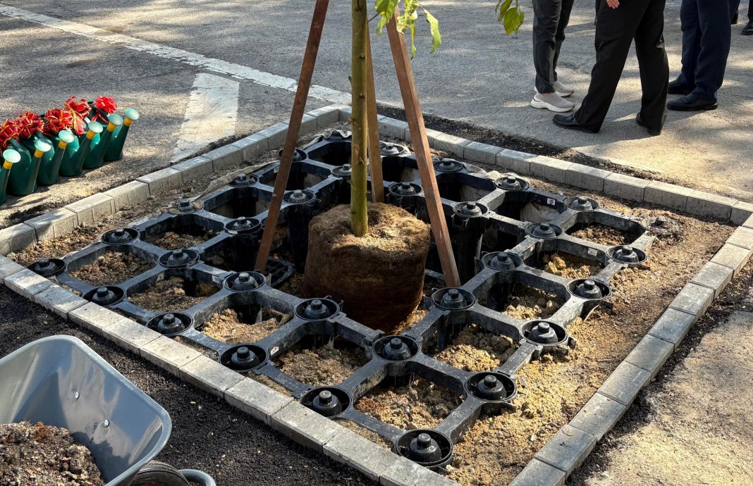 已签发(大北马)土库街大改造 料年尾完工 换上新貌