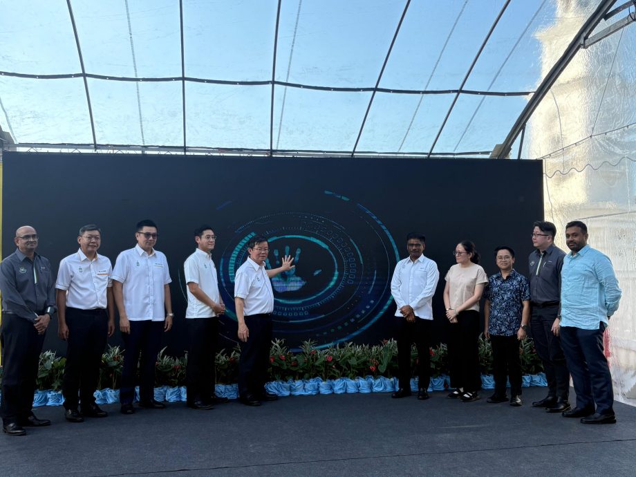 已签发(大北马)土库街大改造 料年尾完工 换上新貌