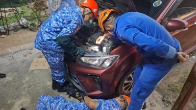 小猫卡在汽车引擎部位  民防卫队员成功救出