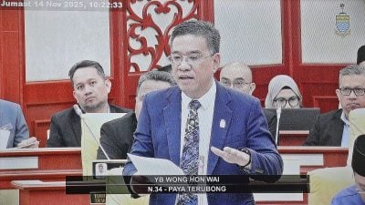 槟州议会 | 议员要求提高乔治市艺术节拨款  黄汉伟：资源有限会尽量争取