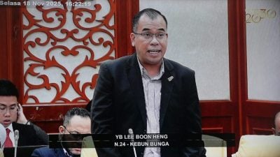 槟州议会|植物园区猴患无穷  李文兴：野猴去敲门讨食物