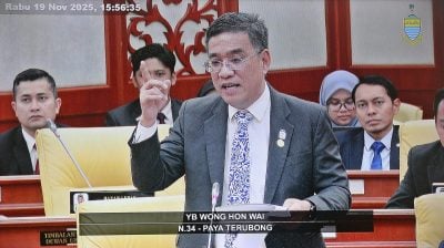 槟州议会| 乔治市创作壁画前需申请  黄汉伟：不希望处处成画板