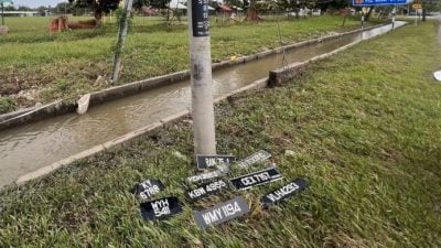 这里有你的吗？ 灾后掉落车牌待认领