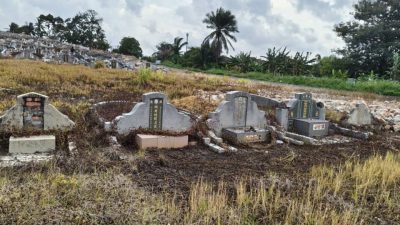 填土工程影响数坟  巴生广东义山寻后裔迁坟