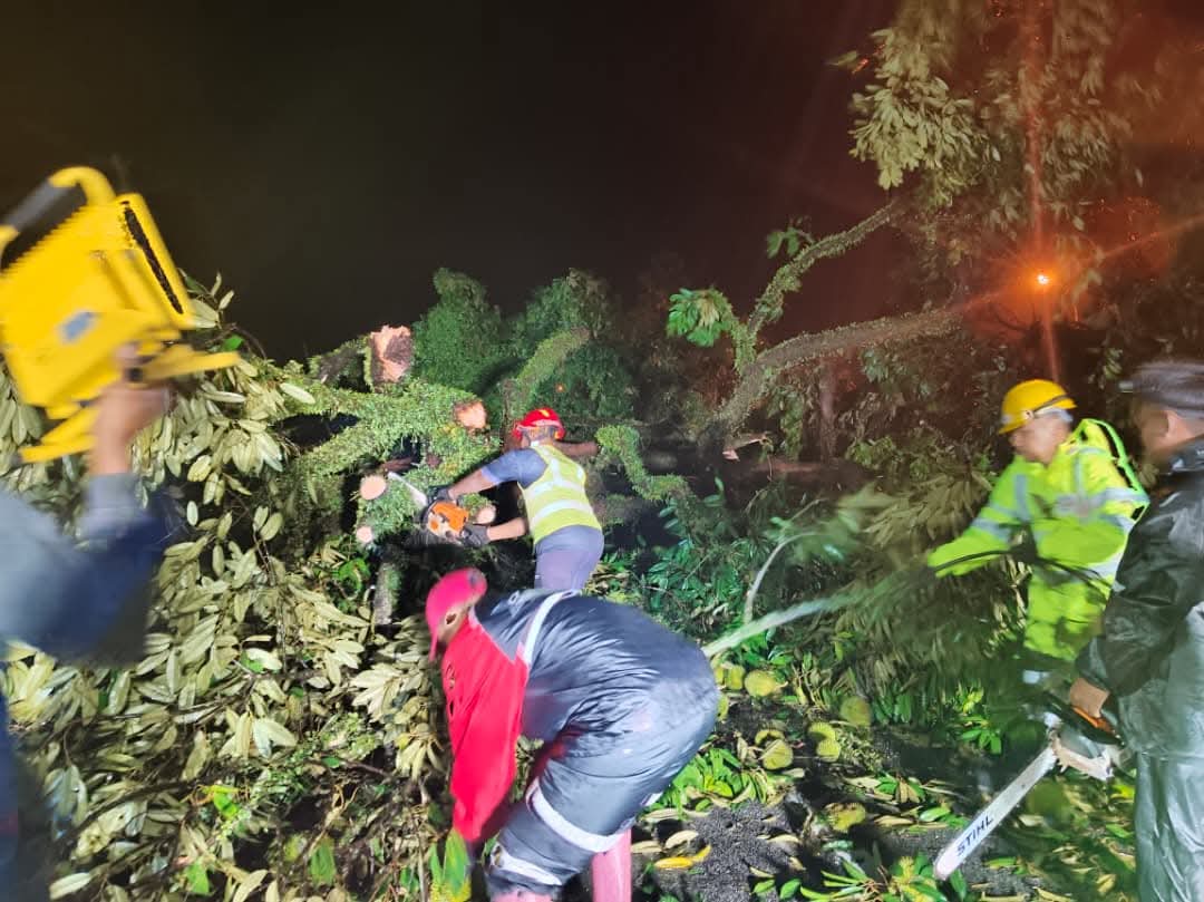 已签发（大都会）瓜冷市议会快速队连夜清理倒树