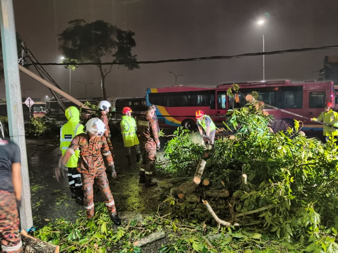 已签发（大都会）瓜冷市议会快速队连夜清理倒树
