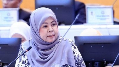 柔州议会 | 凯琳妮莎：共拨50万   3计划惠及93妇女