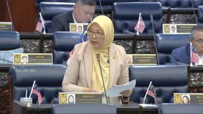 扎丽哈：免开发潜力受限   新村不宜归类世遗