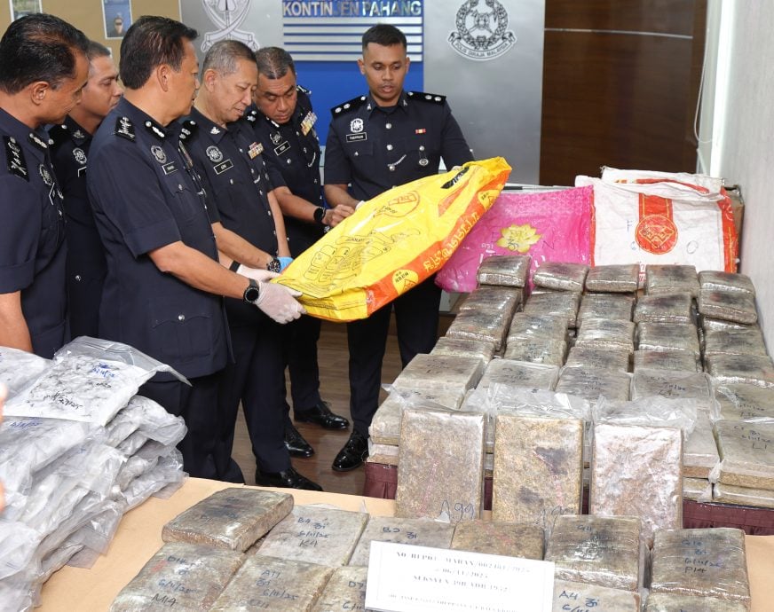 彭警在文冬及马兰起获价值530万令吉大麻与大麻花，逮捕一名男性跑腿。