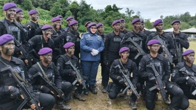 关税局特别武装部队立功  10个月充公3亿私货