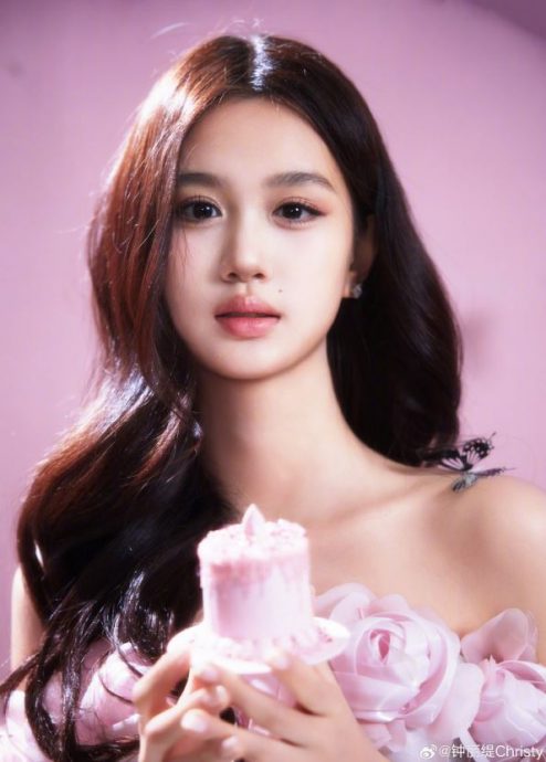 担心被网暴不堪压力 锺丽缇女儿不出道 