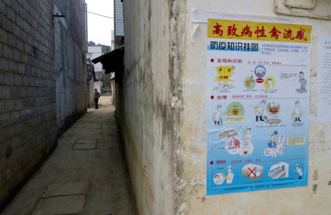 拚盘）研究：若禽流感变异人传人 或比冠病更严重