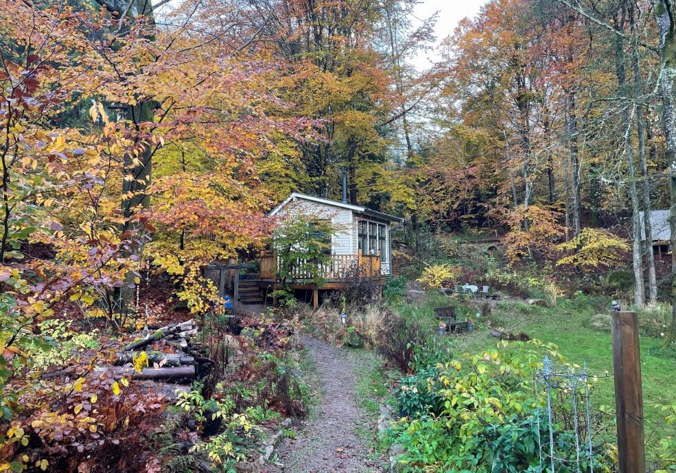 拼盘 未签 远离车马喧 瑞典推森林小屋静心之旅 入住条件:轻声说话