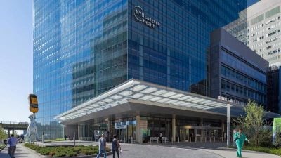 猪肾移植人体进入临床阶段 全球首场试验启动