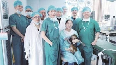 华中科大成功异种移植案例  猪肾在猕猴体内存活1年