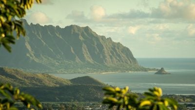 数千只蚊子空降夏威夷 拯救濒危鸟类的“最后一战”