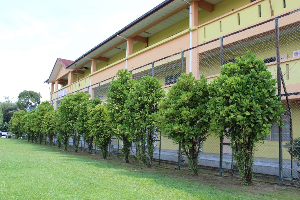 新村美化动起来/:18日见报∕新咖啡山新村 种咖啡树推动发展