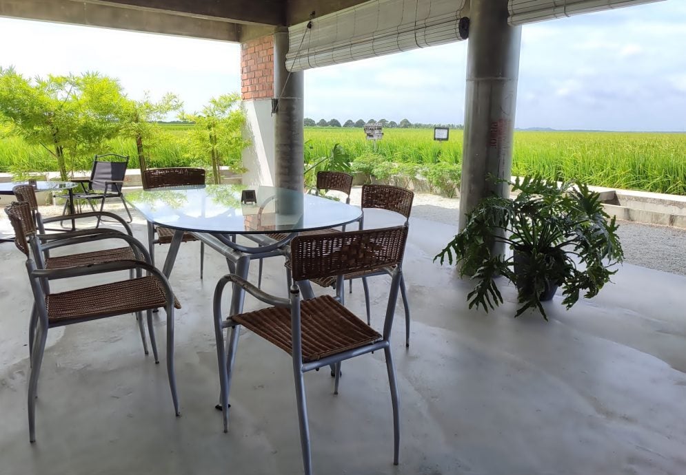 新村美化动起来｜：25日见报∕封底主文∕水闸稻田村翠绿 新年装饰年味浓