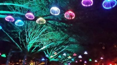 新村美化动起来｜ 翠绿稻田 春装亮丽  水闸美景惊艳