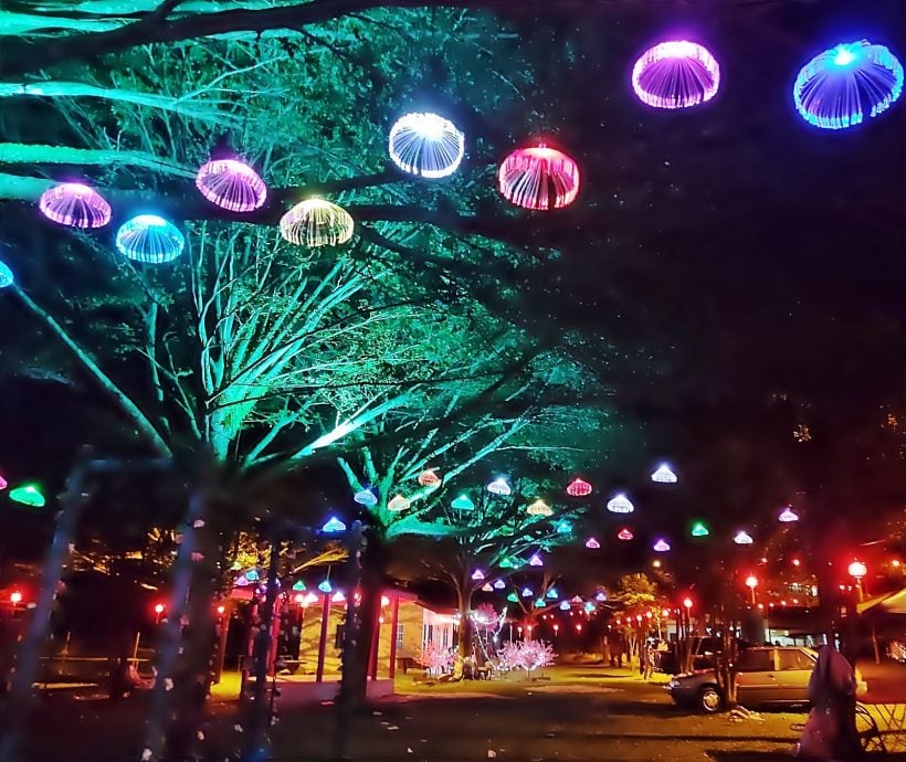 新村美化动起来｜：25日见报∕封底主文∕水闸稻田村翠绿 新年装饰年味浓