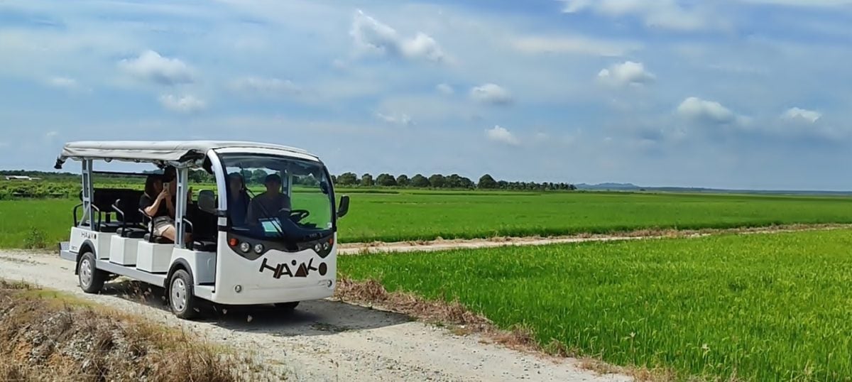新村美化动起来｜：25日见报∕封底主文∕水闸稻田村翠绿 新年装饰年味浓