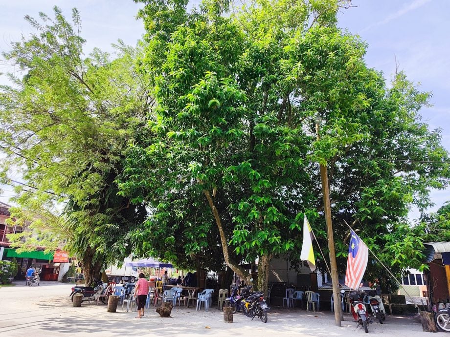 新村美化动起来｜：25日见报∕封底主文∕水闸稻田村翠绿 新年装饰年味浓