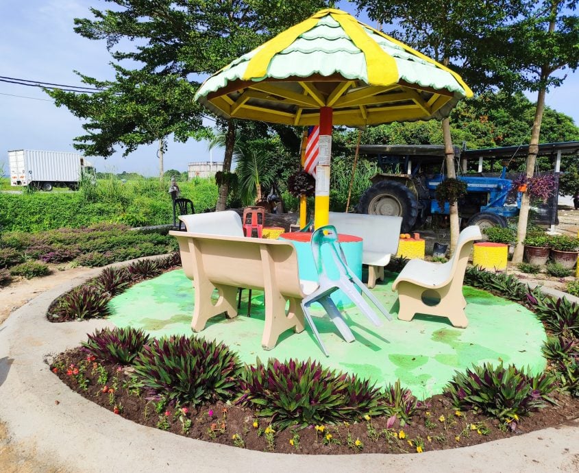 新村美化动起来｜：25日见报∕封底主文∕水闸稻田村翠绿 新年装饰年味浓