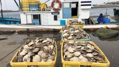 日本水产品恢复对中国出口　中国外交部：继续加强监管