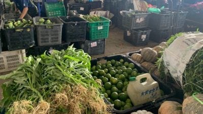 本地菜业陷十年最糟行情 菜农商吁吃本地菜“救市”