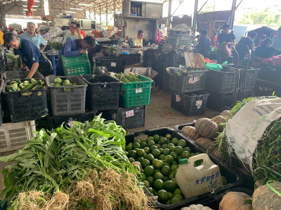 本地菜业陷十年最糟行情 菜农商吁吃本地菜“救市”