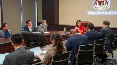 杨巧双：对儿童存安全隐忧  Roblox保证加强监督提升安全