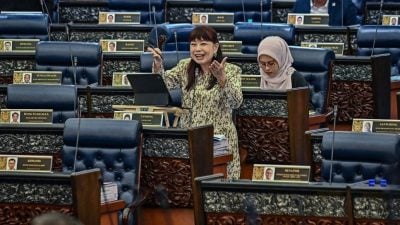 林慧英：BUDI95开跑至今稳定 近80%符合资格者受惠